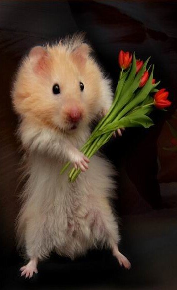 Андрей Копосов | Москва