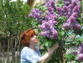 №41 Светлана Соколова 08.03.1967: профиль, фото, статус - ВКонтакте
