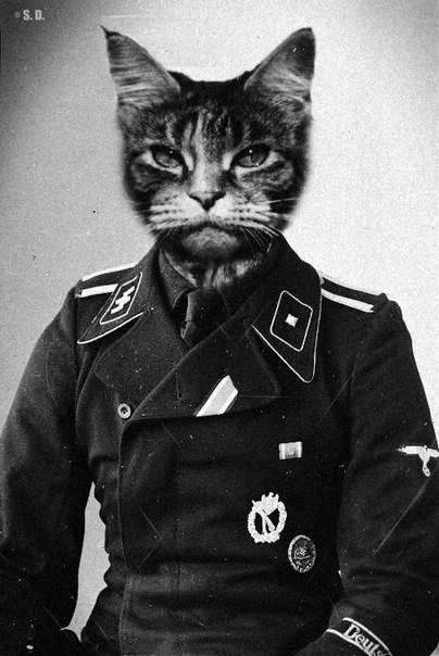 Татьяна Викторовна | 