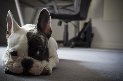 Bubble Gum | München