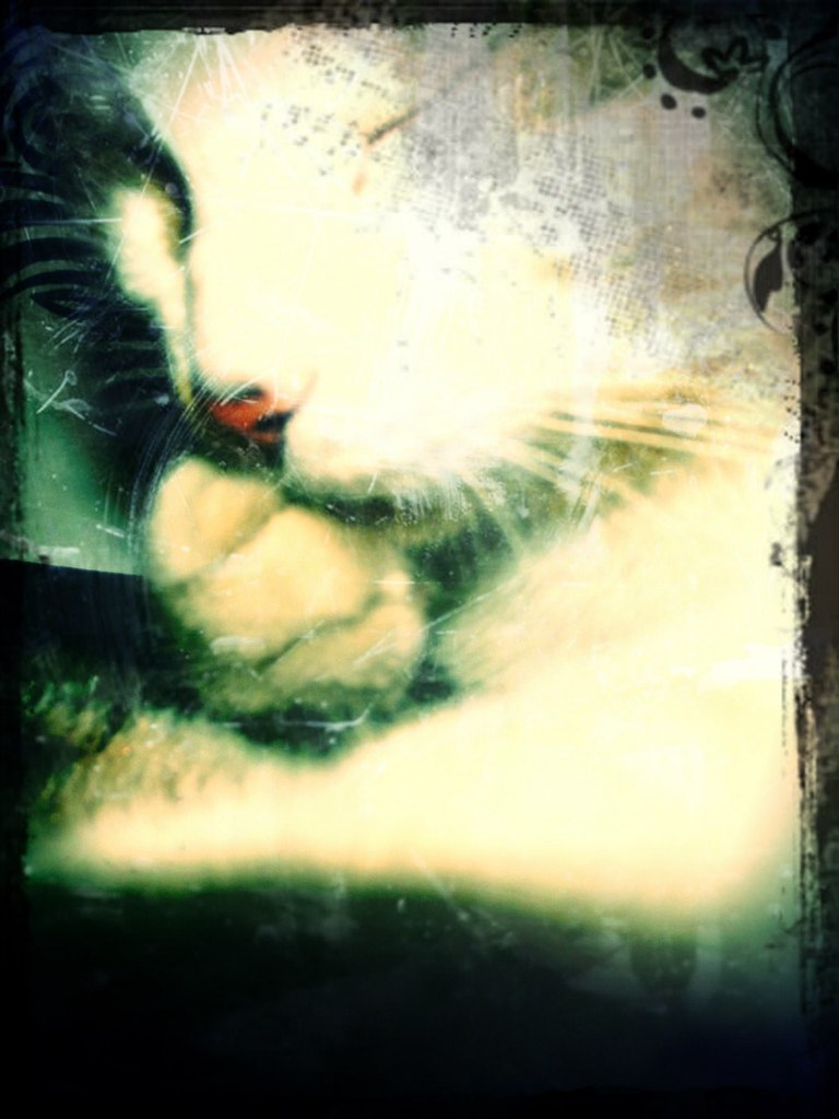 Мария Кострюкова | Тихвин