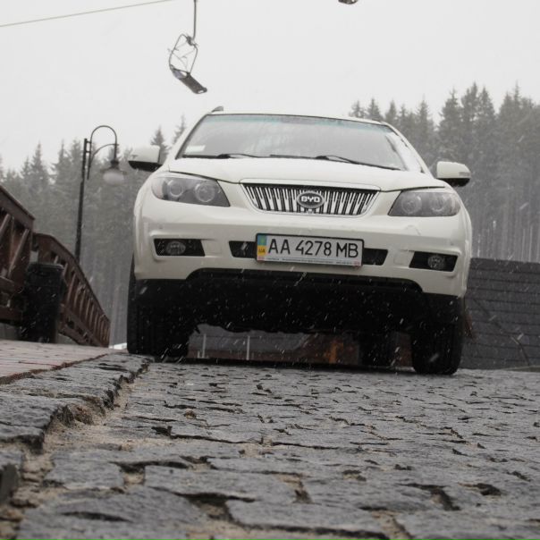 №41, Динис Цинь №41, Динис Цинь