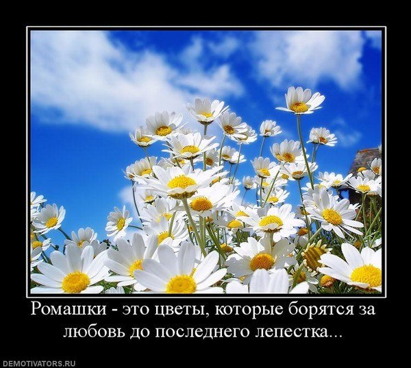 Алёна Ведерникова | Красноярск