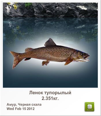 Алексей Брилев | Губкин