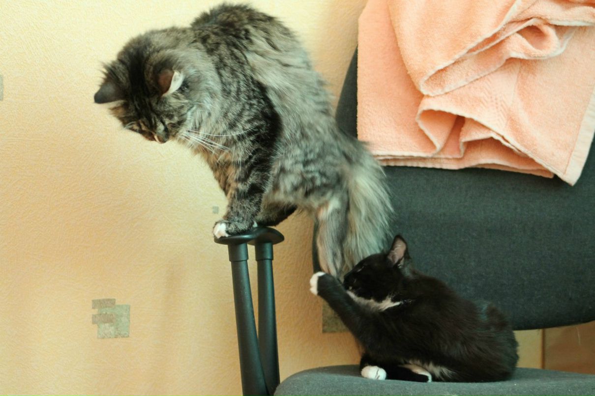 Мария Угрюмова | Санкт-Петербург