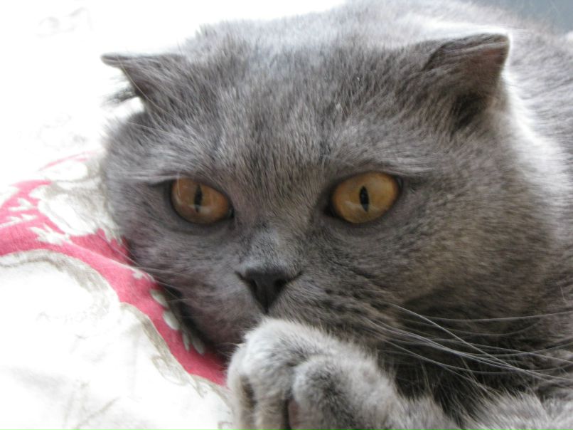 Hh-Hh Hh-Hh Станислав | Москва