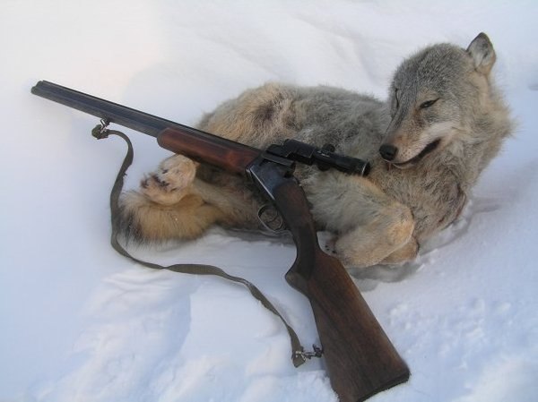 №47, Павел Лобанов, 5.11.1985 №47, Павел Лобанов, 5.11.1985