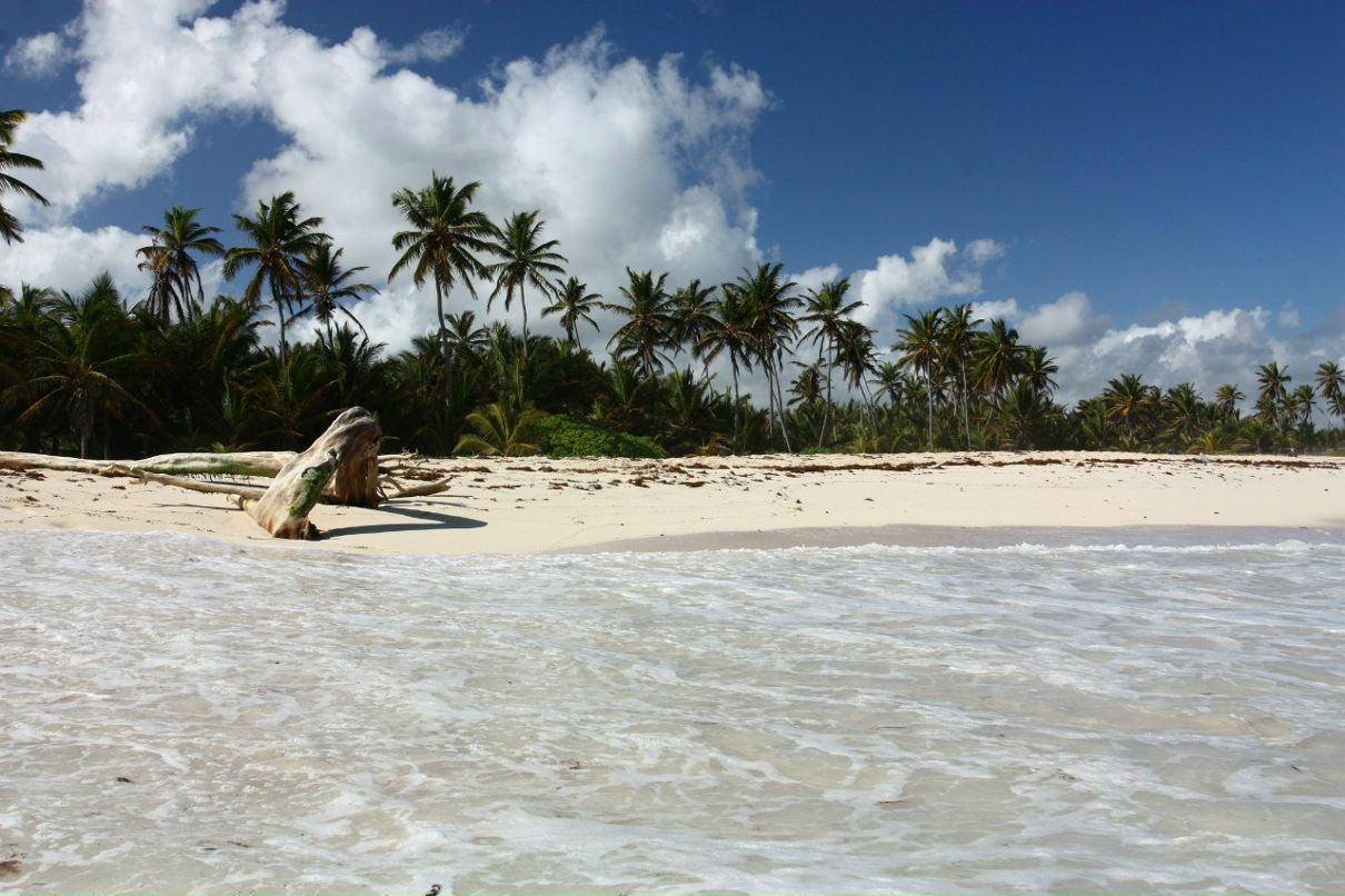 Александр Fe-Shin | Москва