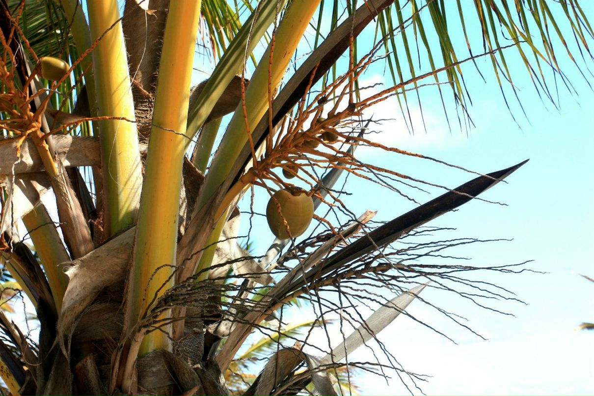 Александр Fe-Shin | Москва