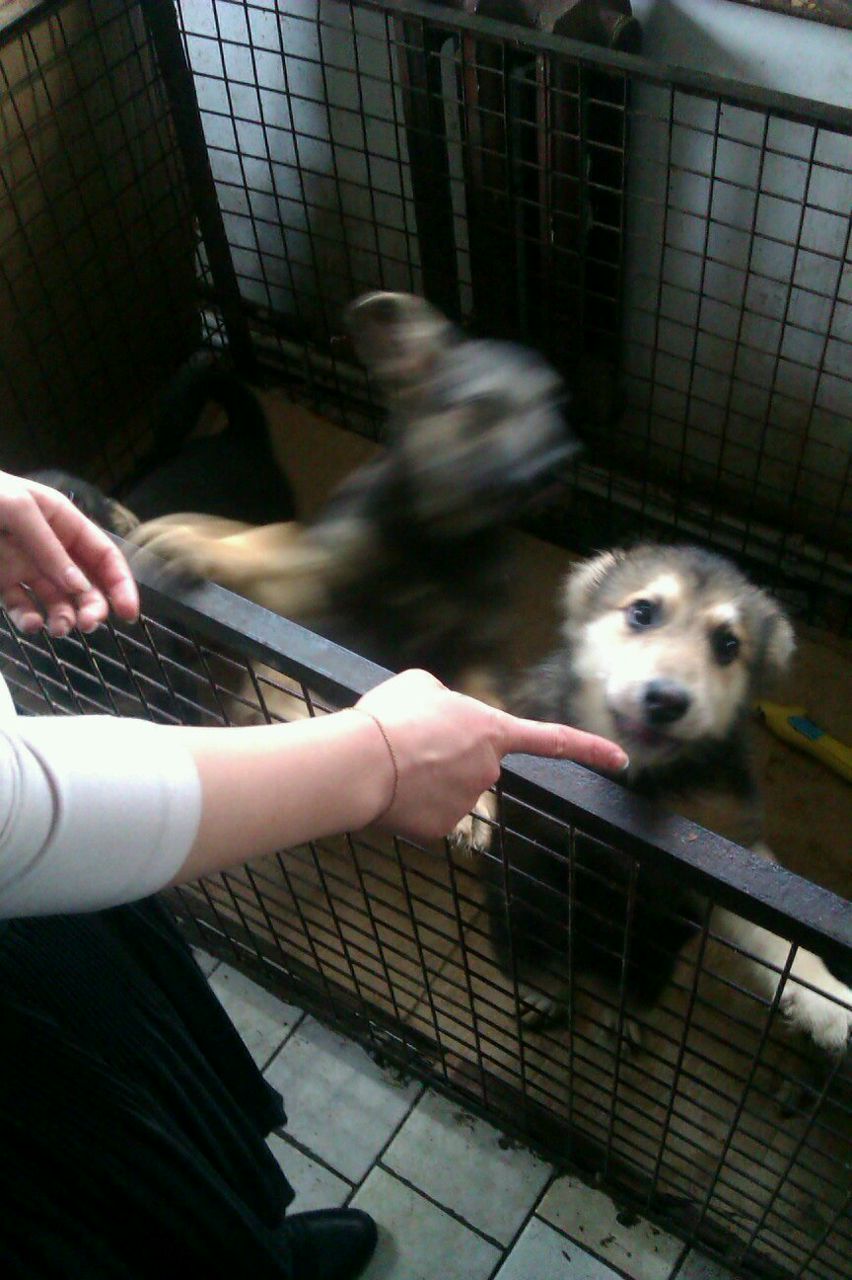 Maria Ivanova | Москва