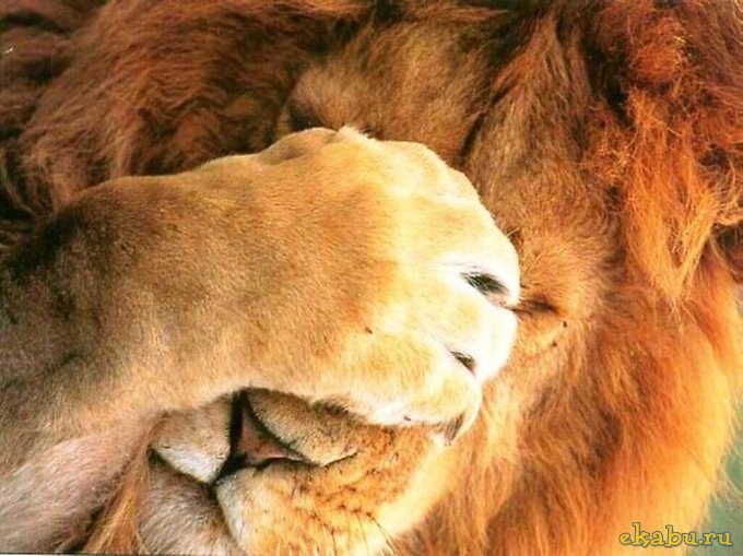 Евгений Скилов | 