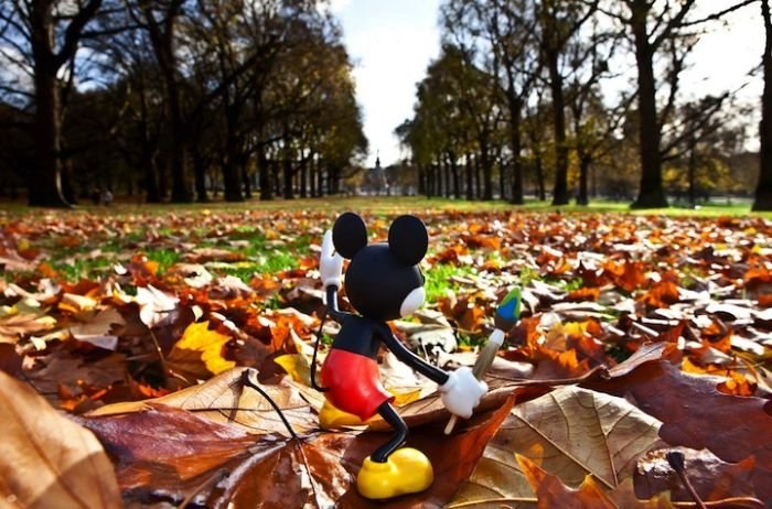 Миша Вакульский to live, killing himself in evil | Калининград