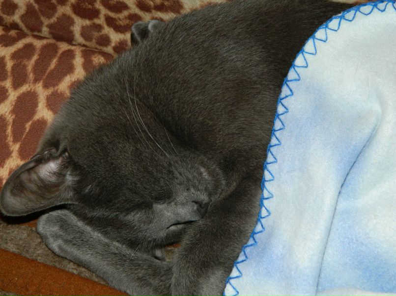 Светлана Безносикова | Москва