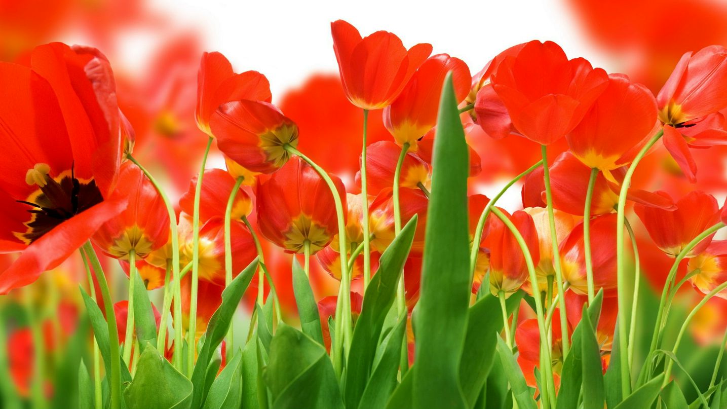 Olga Shipenok ^Olik^ | Минск