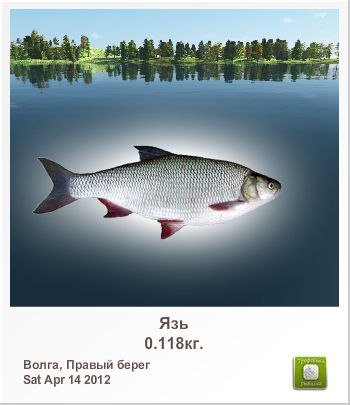 Санёк Сизов | Саратов