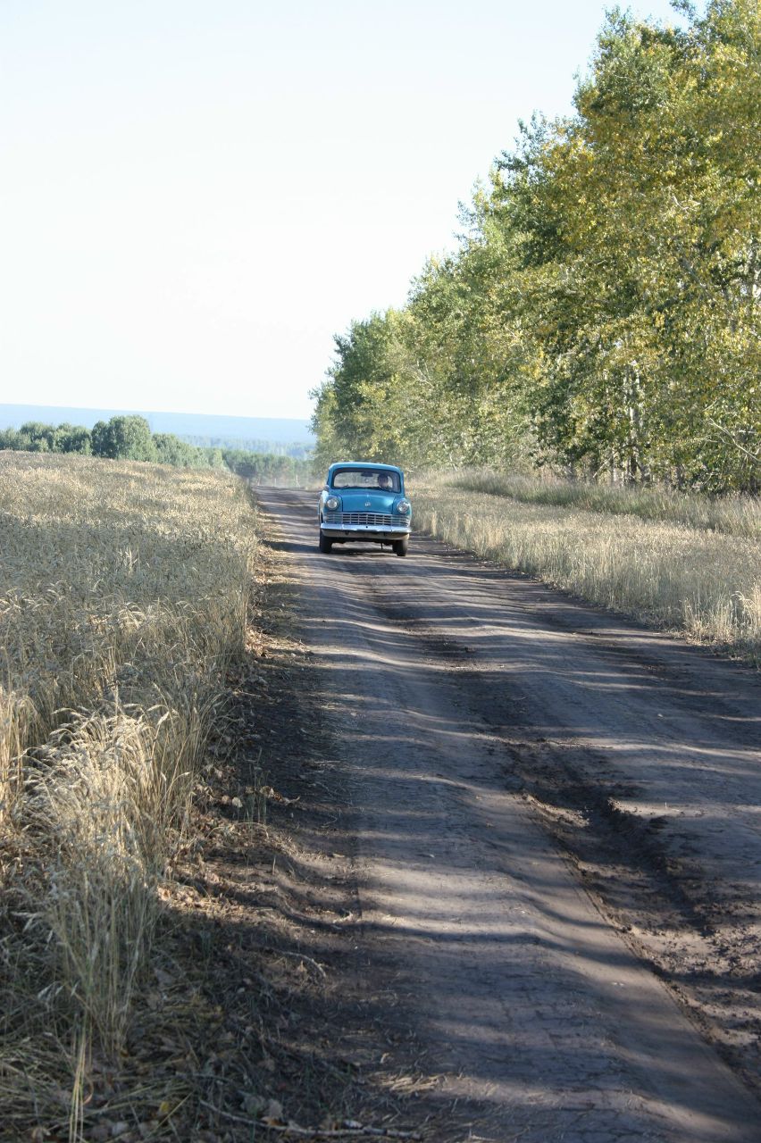 Денис Жиглов Den | Новосибирск