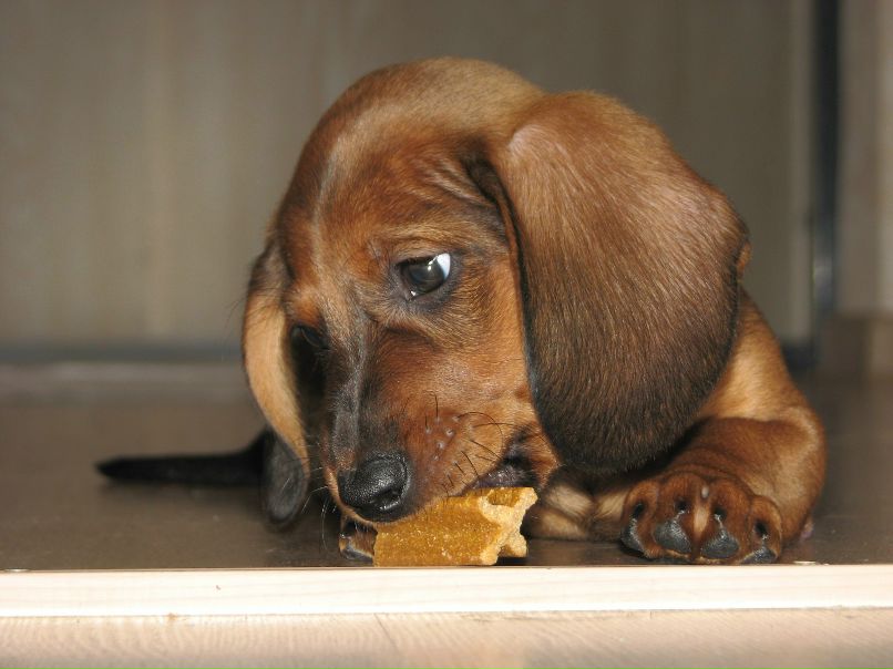 Nikita Anatolyevich .ιllιlι.ιl. | Lyon