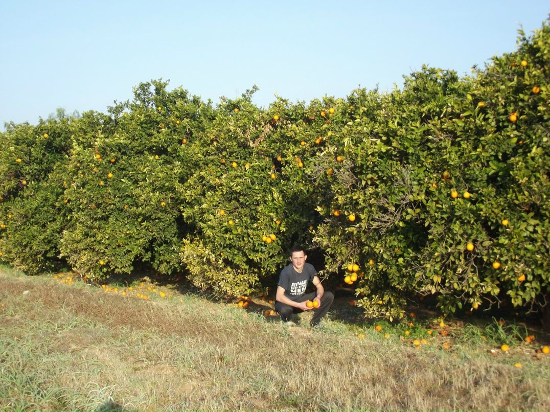 Віталій Яник | Ковель