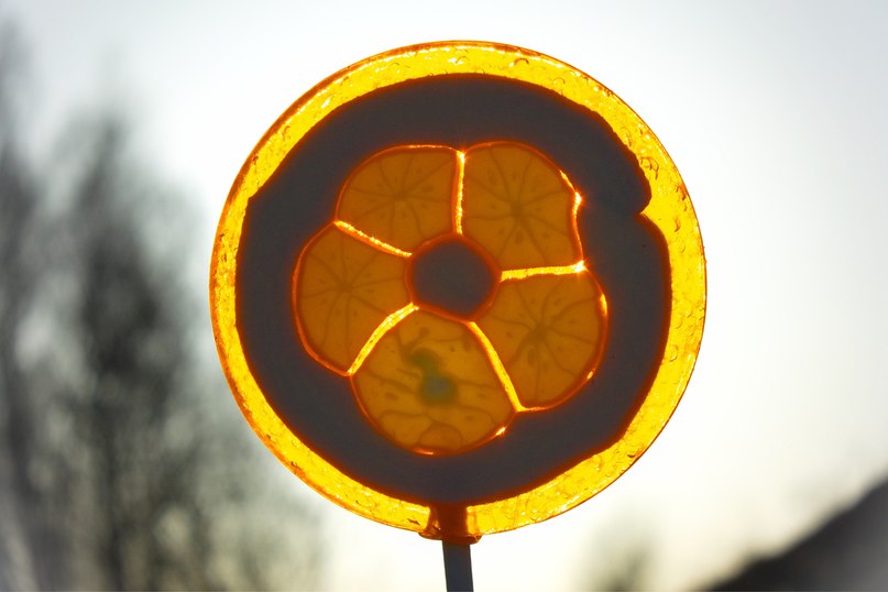 Анастасия Баршевцева | Красноярск