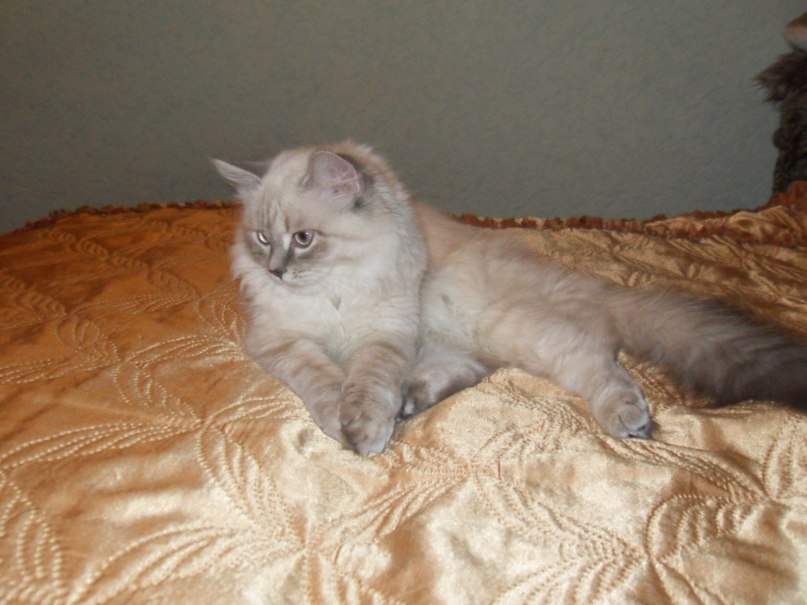 Виталий Зозуля | Мелитополь