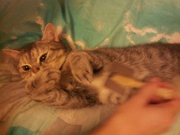 №50, Ксения Жиголкина, Павлодар, Казахстан №50, Ксения Жиголкина, Павлодар, Казахстан