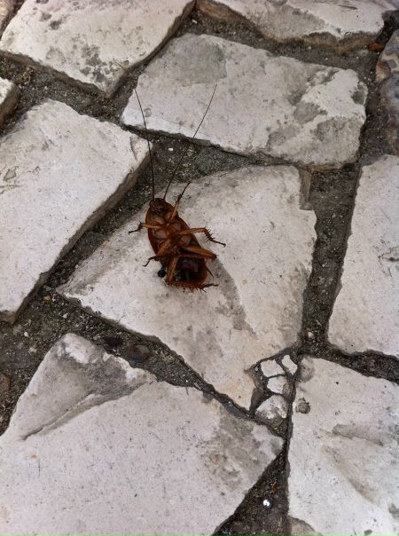 №110, Евгений Малыгин, 50 лет, Санкт-Петербург №110, Евгений Малыгин, 50 лет, Санкт-Петербург