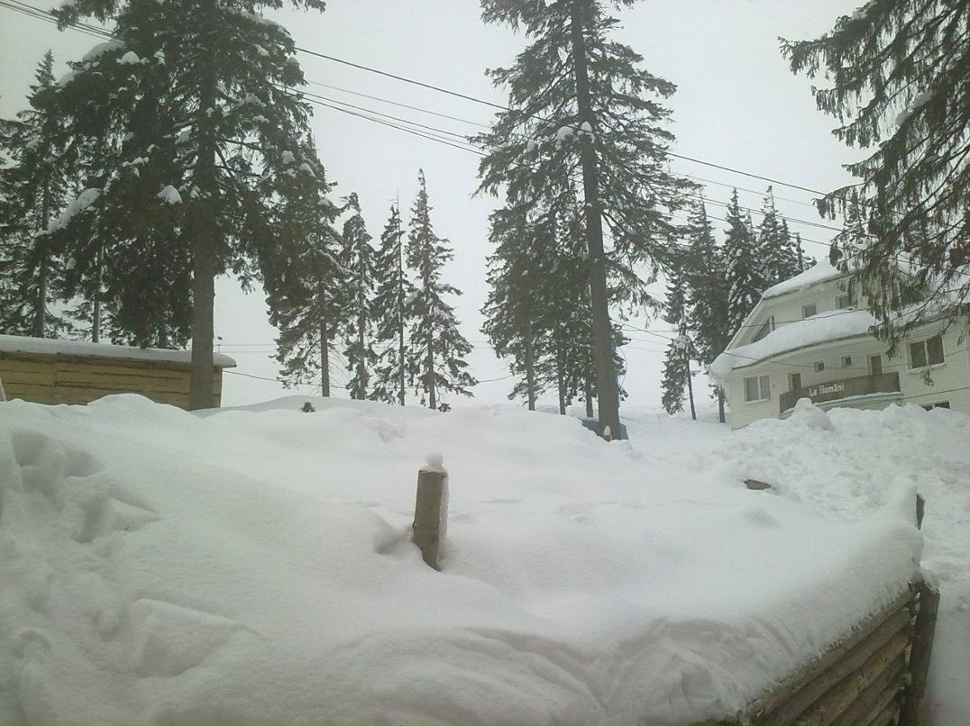 Серёга Макаров | Запорожье