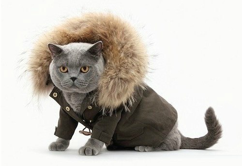 Наталья Родионова | Санкт-Петербург