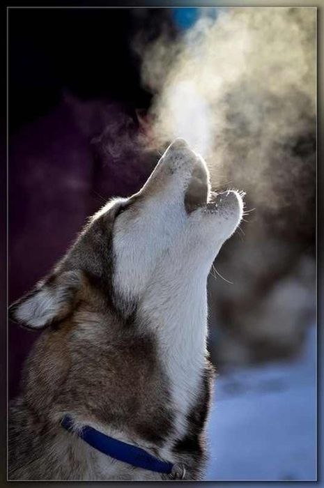 Юлия Калашникова | Ростов-на-Дону