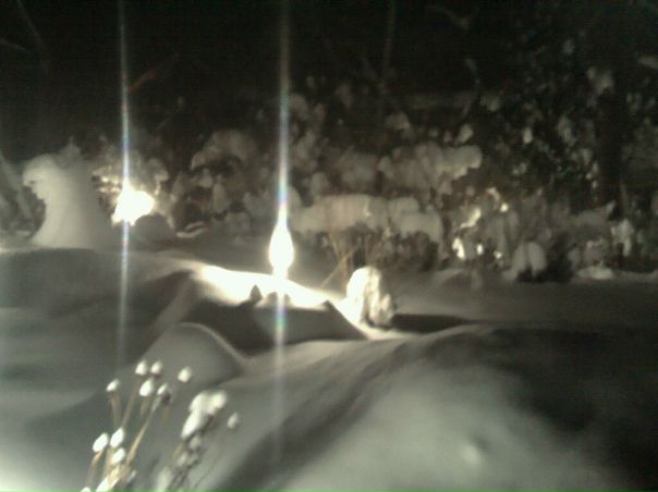 №12, Алексей Шелегов, 40 лет, Гомель №12, Алексей Шелегов, 40 лет, Гомель