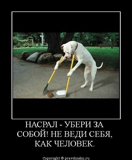 №95, Андрей Погорелый, 31 год, Харьков №95, Андрей Погорелый, 31 год, Харьков