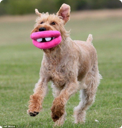 Юлия Миловидова | Краснодар