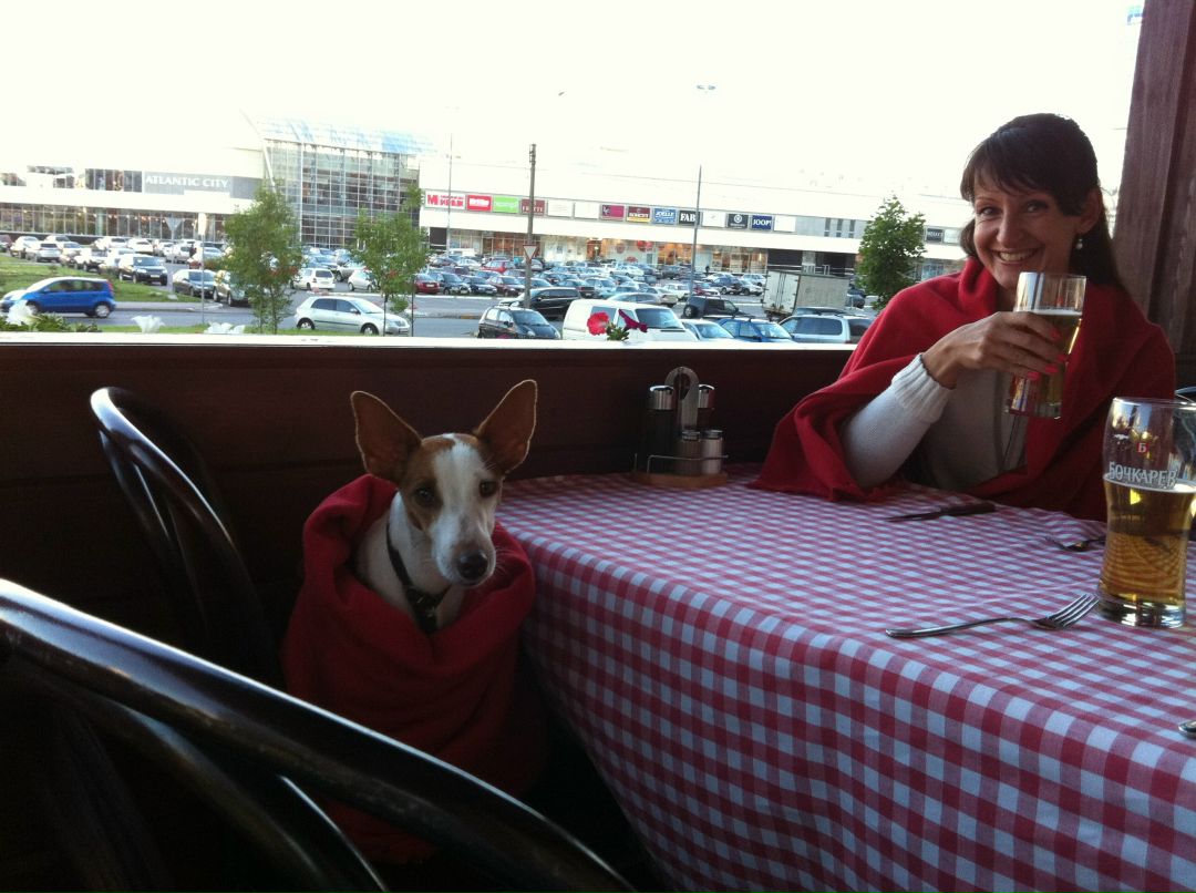 Ирина Шабанова | Санкт-Петербург