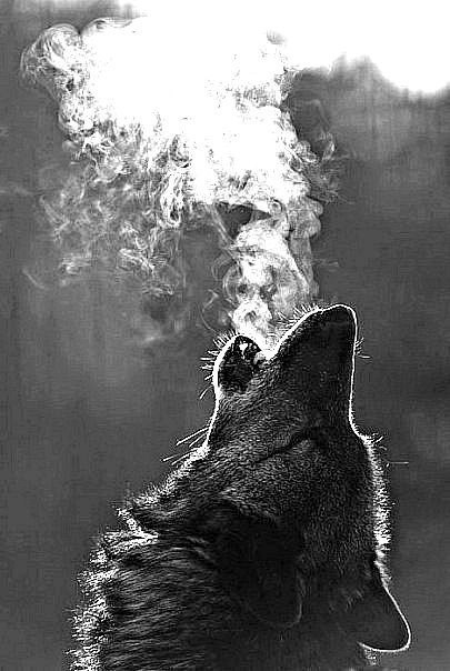 Дмитрий Галик | Ичня