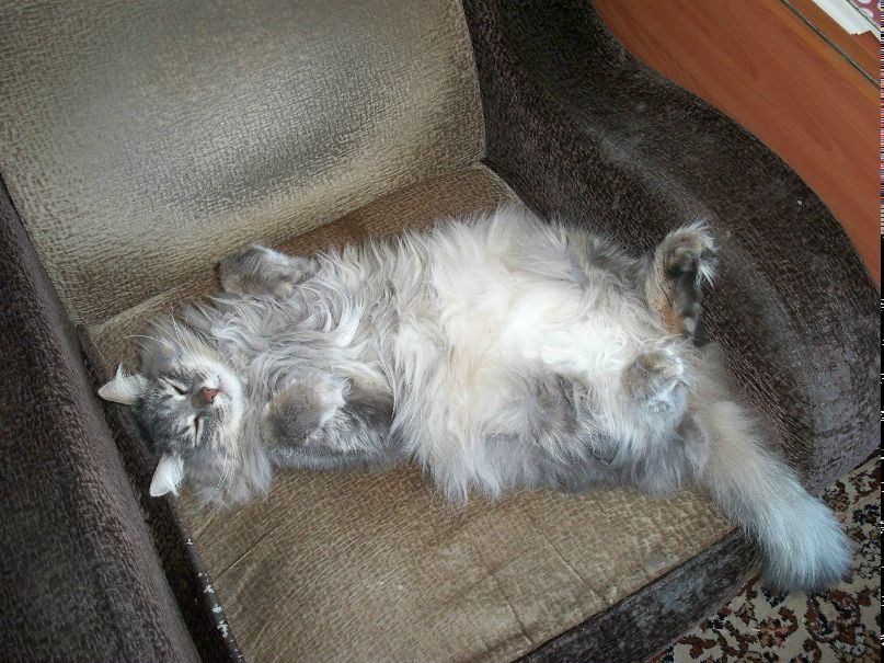 Мальвина Ступина | Озерск