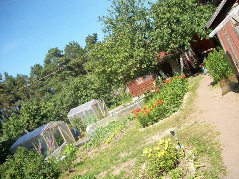 Ирина Сенько | Санкт-Петербург