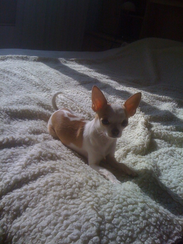 Илья Желнов | Москва