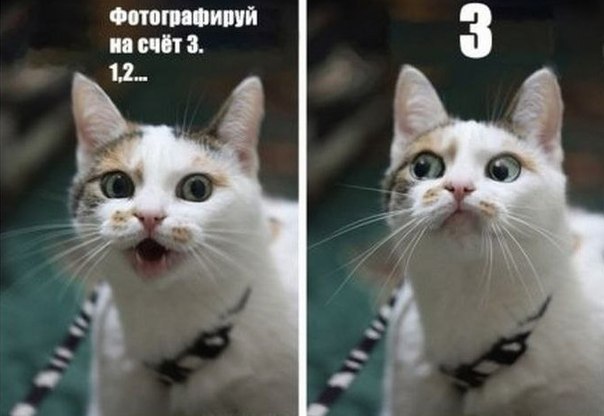 Ксения Яковлева | Москва