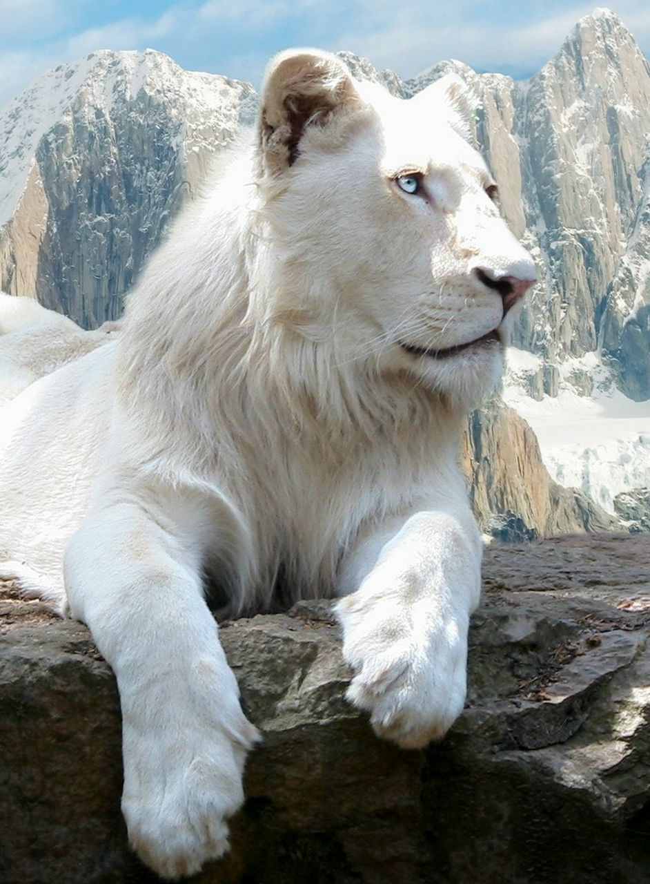 Alex Prodanov | Ульяновск