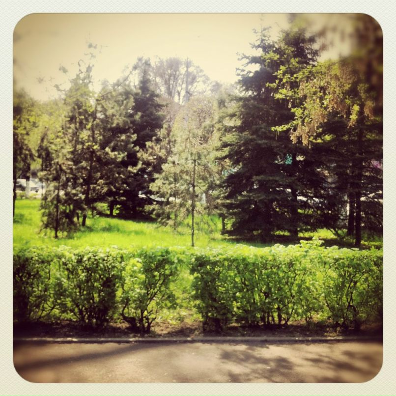 Didar Mardanov T | Алматы