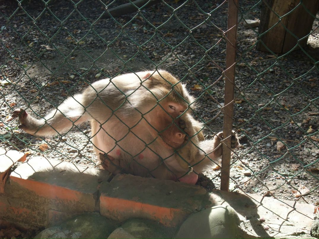 Мария Дубровская | Санкт-Петербург