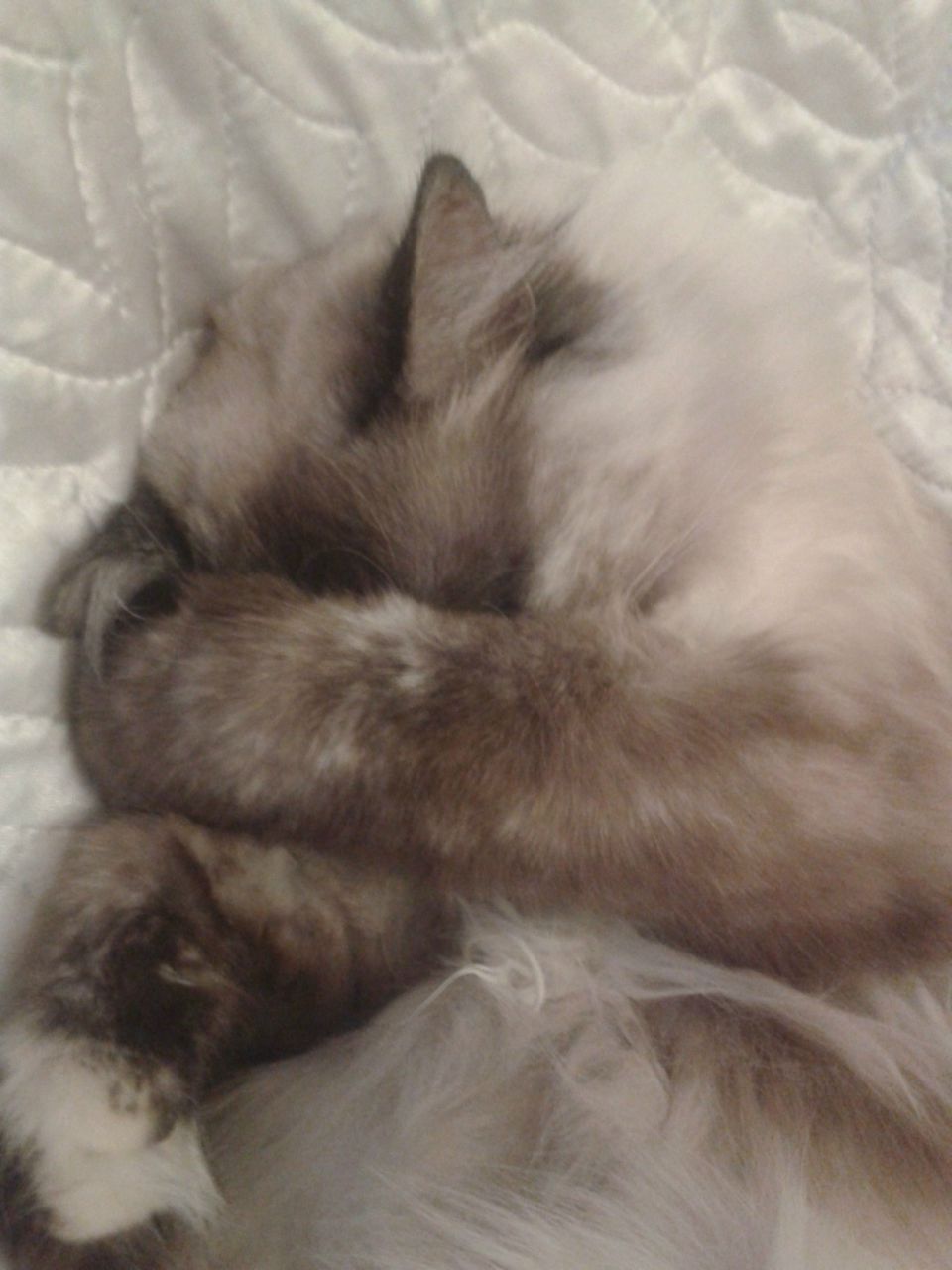 Сергей Смирнов | Кострома