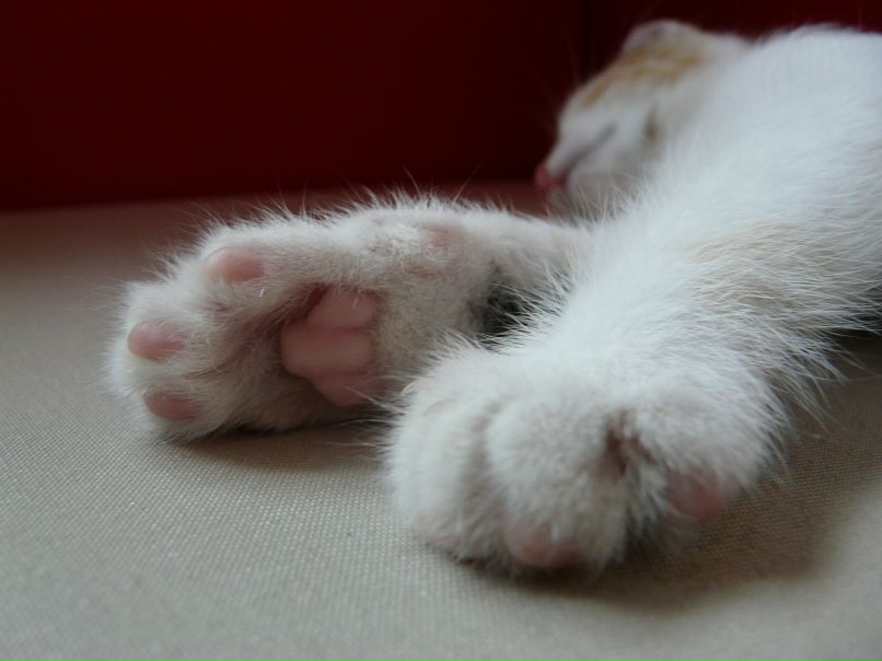 Оля Скоробагатько | Желтые Воды