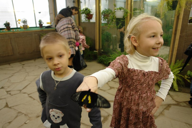 Елена Стихина | Санкт-Петербург