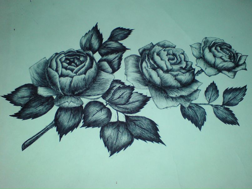 Елена Синякова | Смоленск