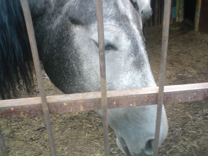 Света Попова | Самара