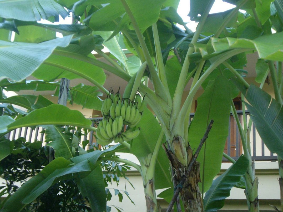 Юлия Ивашова | Санкт-Петербург