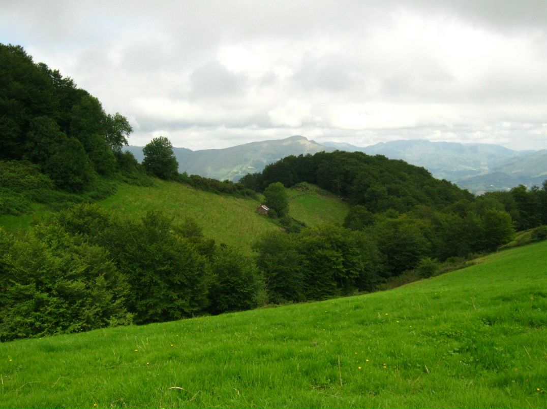 Светлана Иванова | Санкт-Петербург