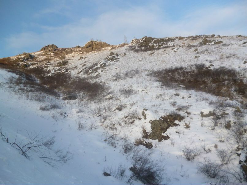 Никита Соломатин FOX | Екатеринбург