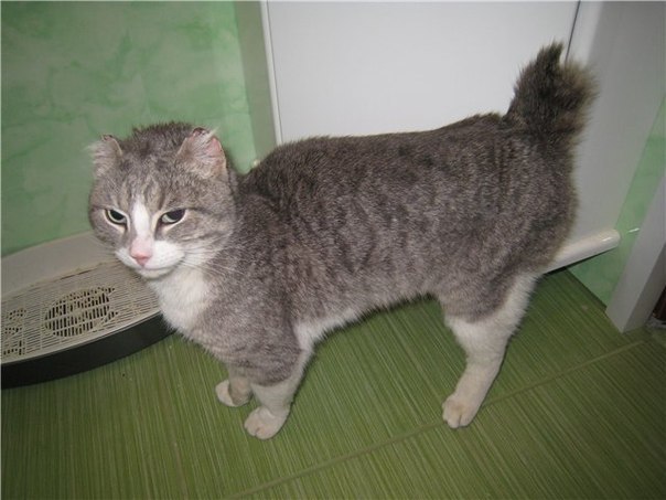 №94, Ирина Орехова, Калуга №94, Ирина Орехова, Калуга